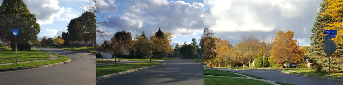 Ledge Moor Street Photos